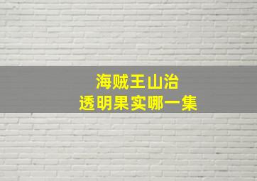 海贼王山治 透明果实哪一集